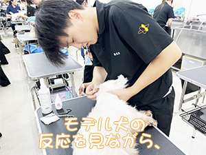 １年生のトリミング実習♪